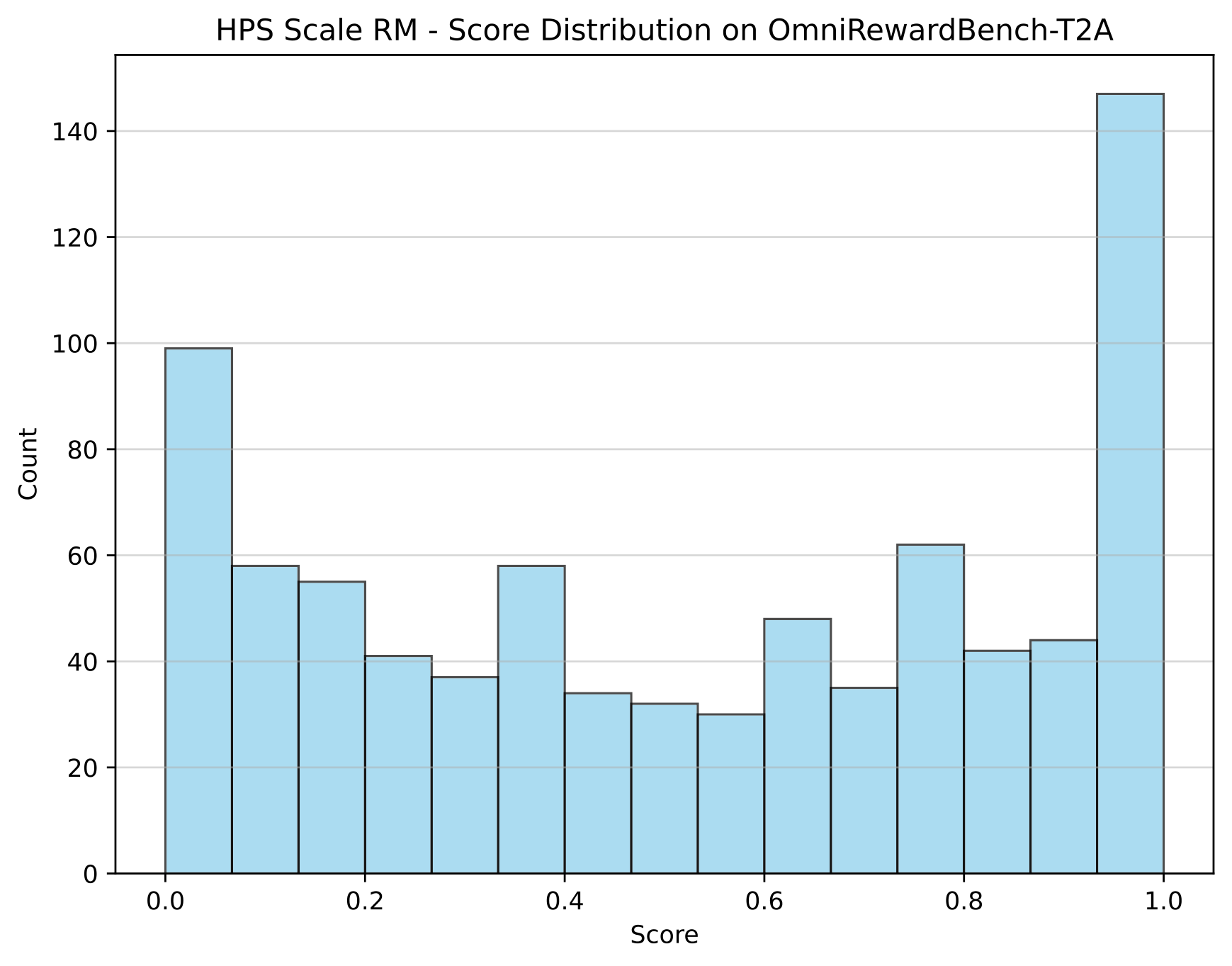 Score Distribution